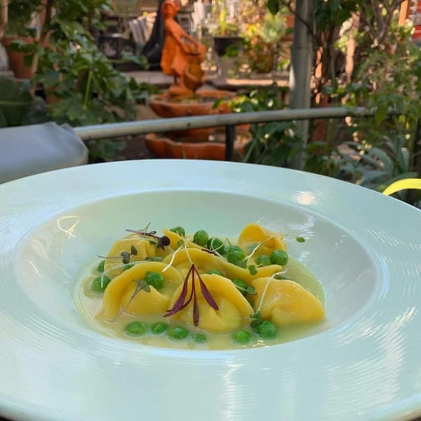 Fable's tortellini with green peas and microgreens in a light sauce, set outdoors.