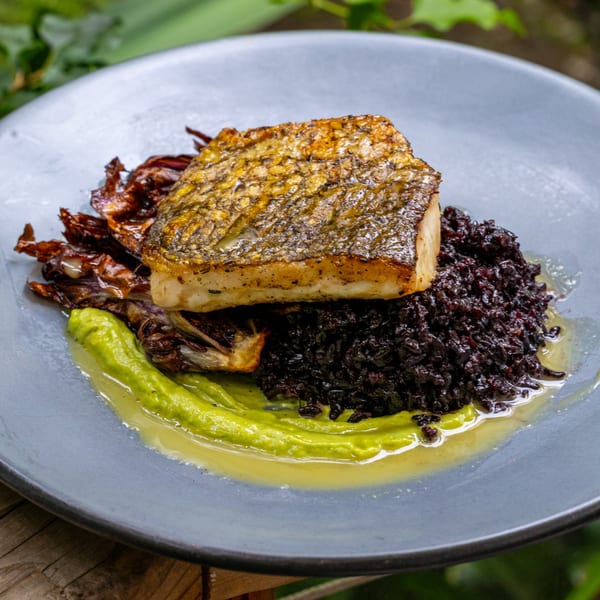 Pan-seared fish with crispy skin, black rice, roasted vegetables, and green puree on a gray plate.