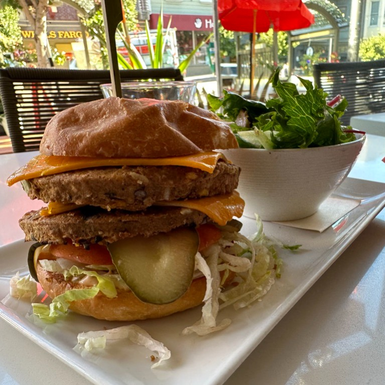 Delicious Vegan Burger Options